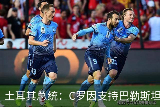 土耳其总统：C罗因支持巴勒斯坦而遭受政治打压
